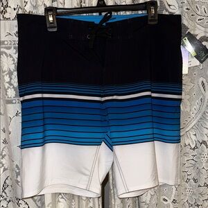Burnside Black and Blue Gradient Board‎ Shorts